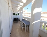 Reventa - Apartamento / Dúplex - Torrevieja - Estacion de autobuses