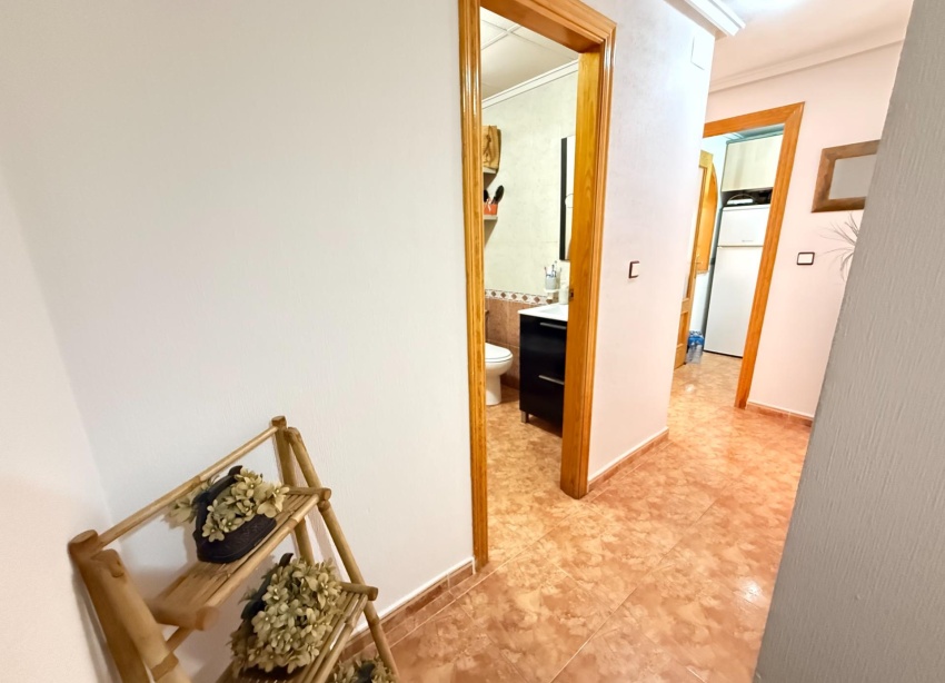 Reventa - Apartamento / Dúplex - Torrevieja - Estacion de autobuses