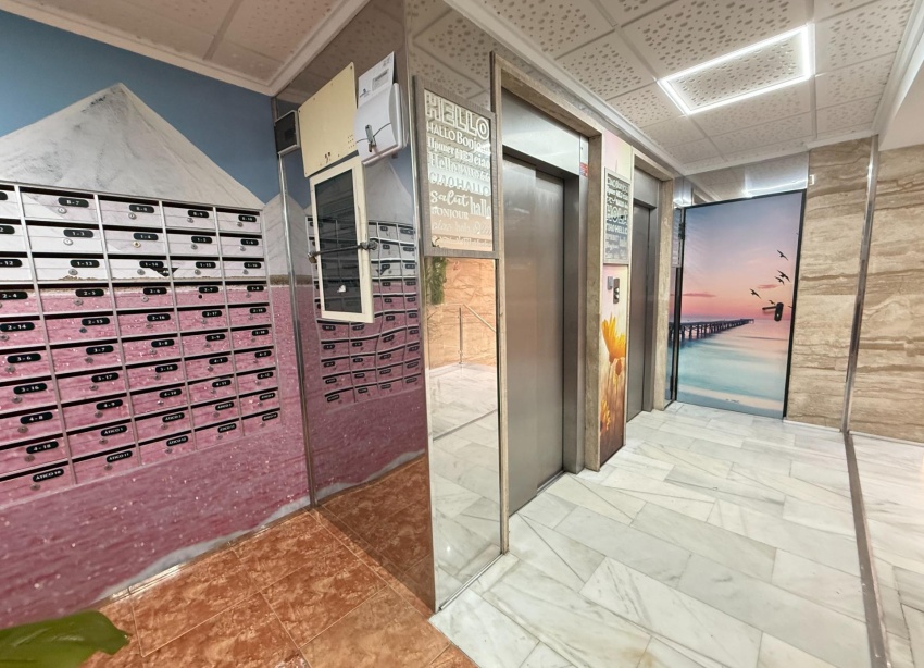 Reventa - Apartamento / Dúplex - Torrevieja - Estacion de autobuses