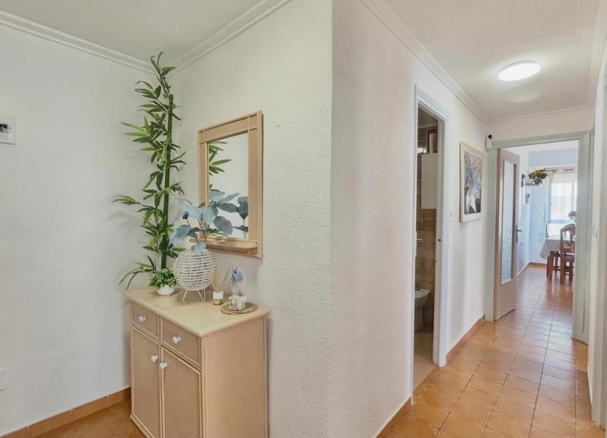 Reventa - Apartamento / Dúplex - Torrevieja - Habaneras