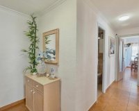 Reventa - Apartamento / Dúplex - Torrevieja - Habaneras