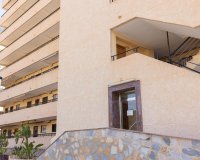 Reventa - Apartamento / Dúplex - Torrevieja - La Mata