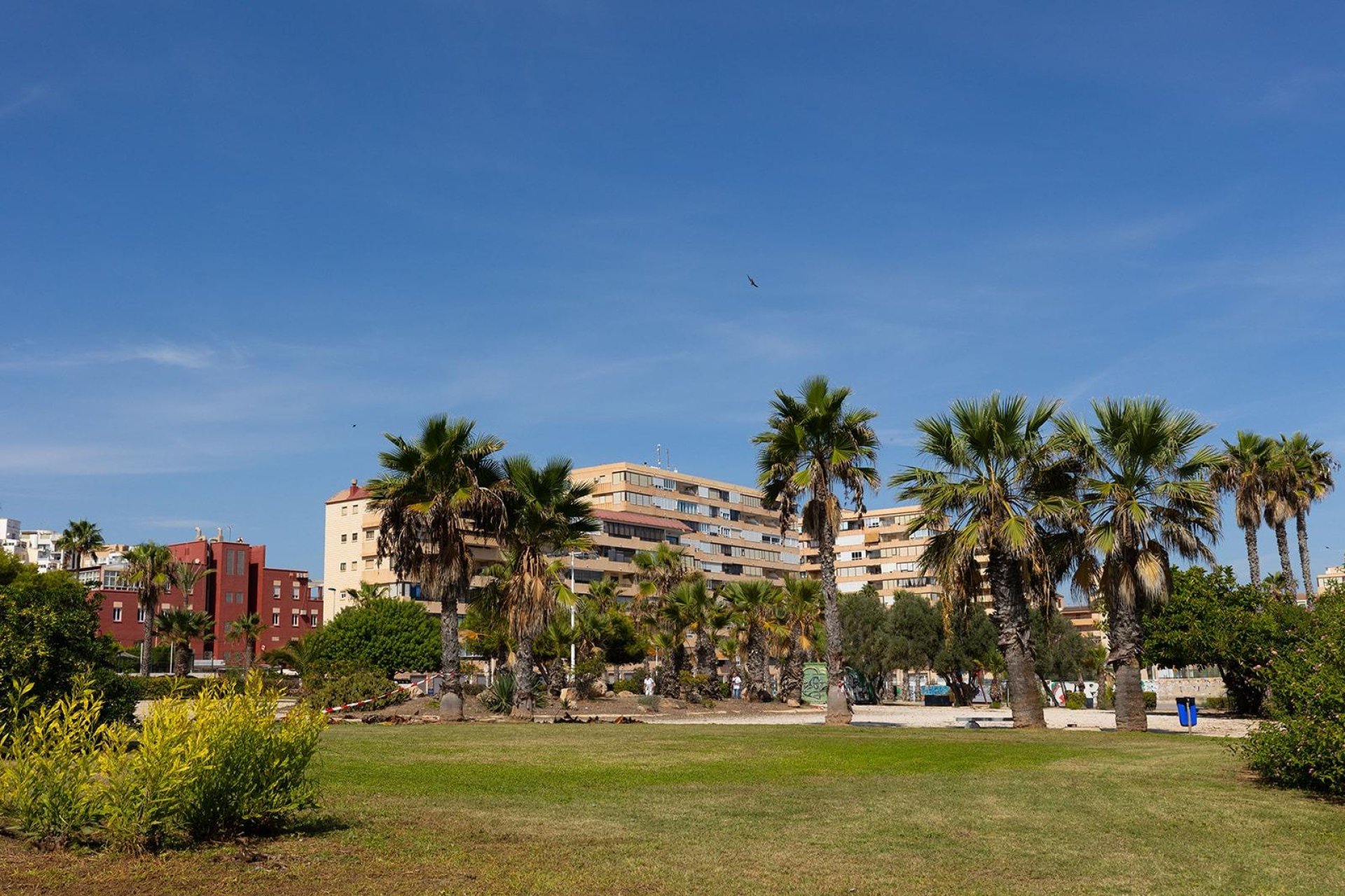 Reventa - Apartamento / Dúplex - Torrevieja - La Mata