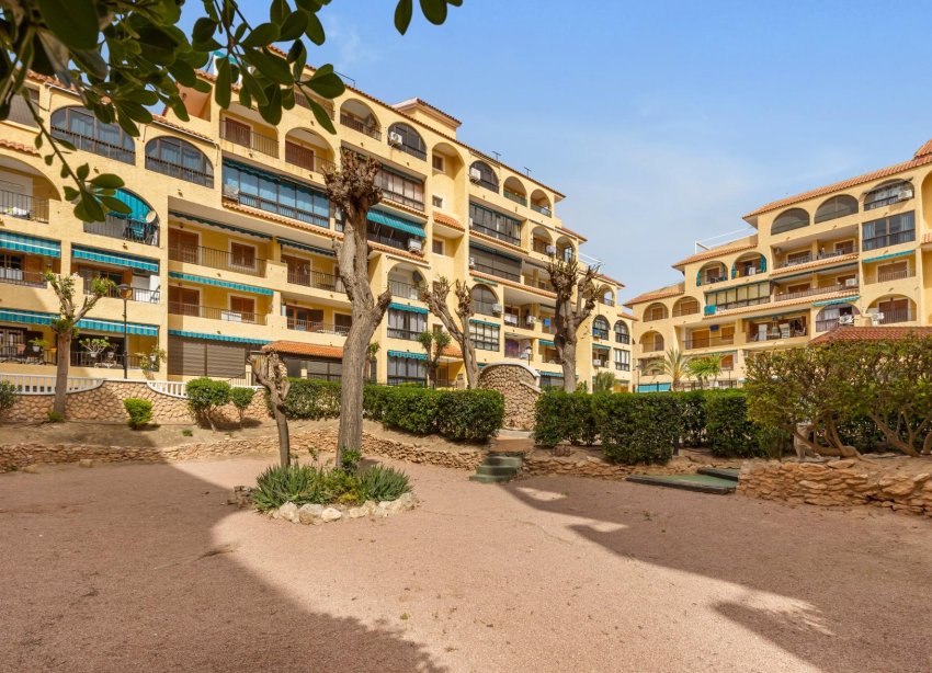 Reventa - Apartamento / Dúplex - Torrevieja - La Mata