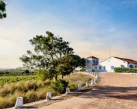 Reventa - Apartamento / Dúplex - Torrevieja - La Mata