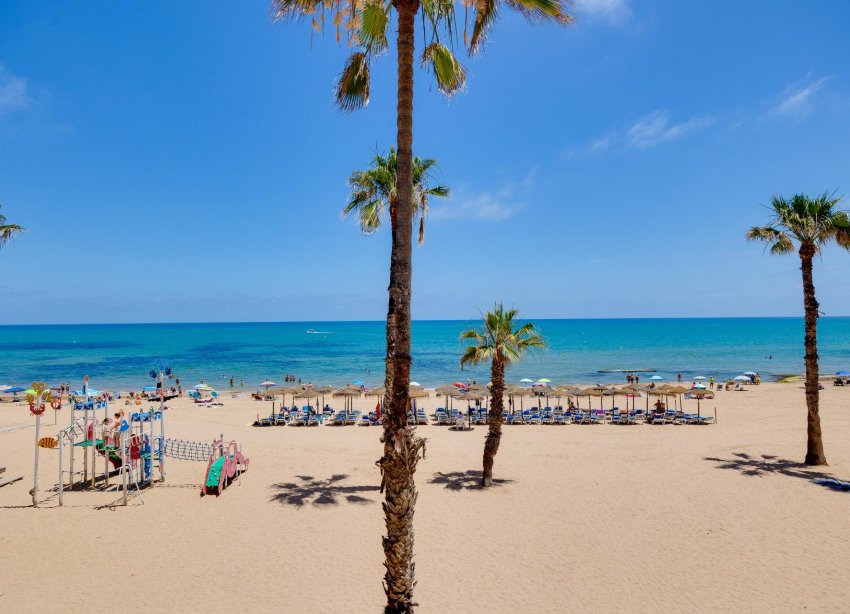 Reventa - Apartamento / Dúplex - Torrevieja - La Mata