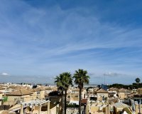 Reventa - Apartamento / Dúplex - Torrevieja - Los Altos