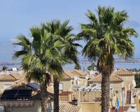 Reventa - Apartamento / Dúplex - Torrevieja - Los Altos