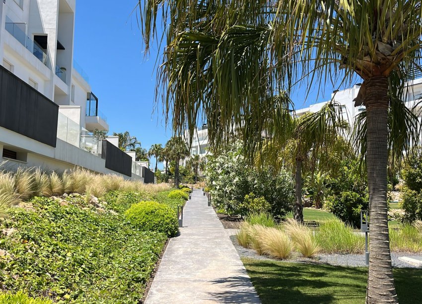 Reventa - Apartamento / Dúplex - Torrevieja - Los Altos