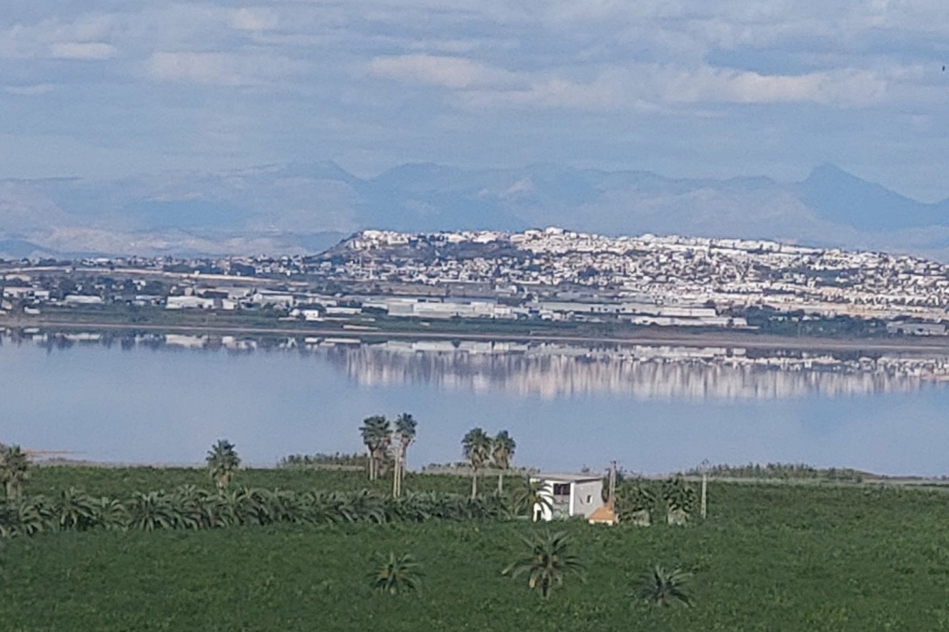 Reventa - Apartamento / Dúplex - Torrevieja - Los Balcones