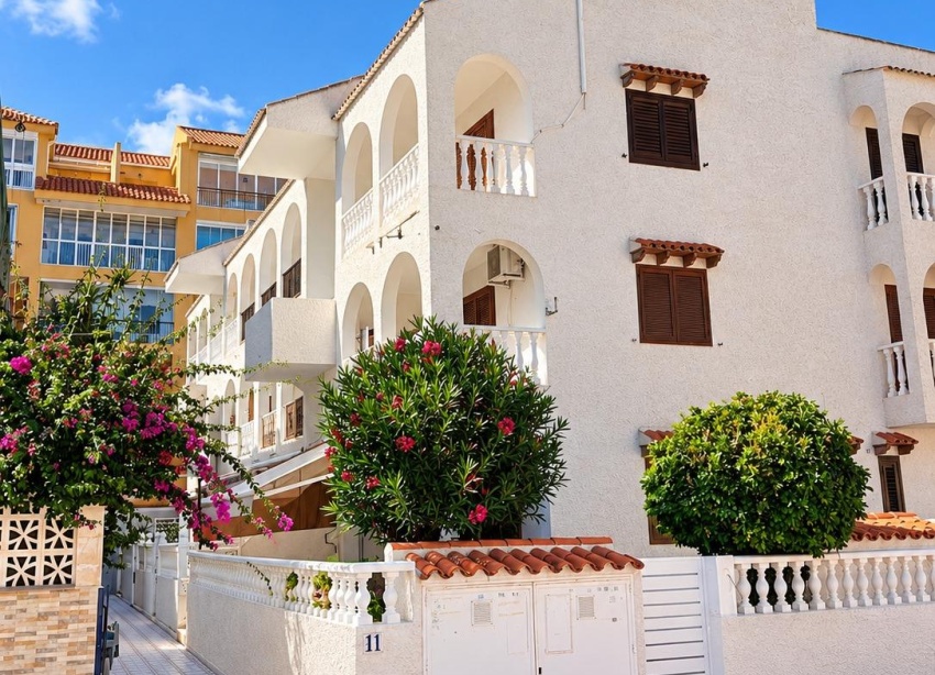 Reventa - Apartamento / Dúplex - Torrevieja - Los Europeos
