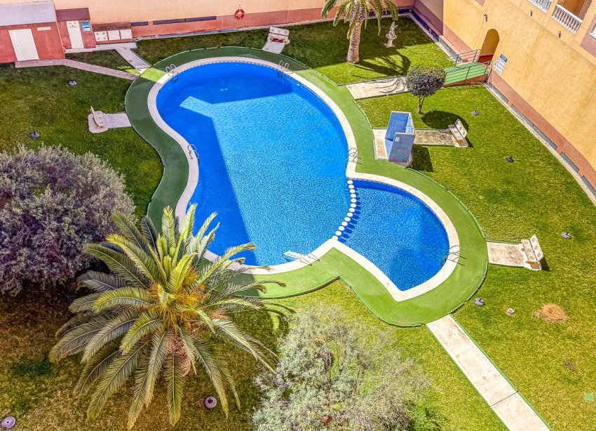 Reventa - Apartamento / Dúplex - Torrevieja - Parque de las Naciones