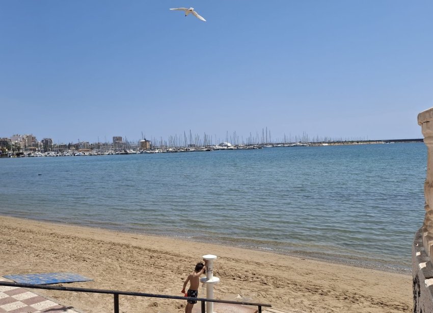 Reventa - Apartamento / Dúplex - Torrevieja - Playa Acequion