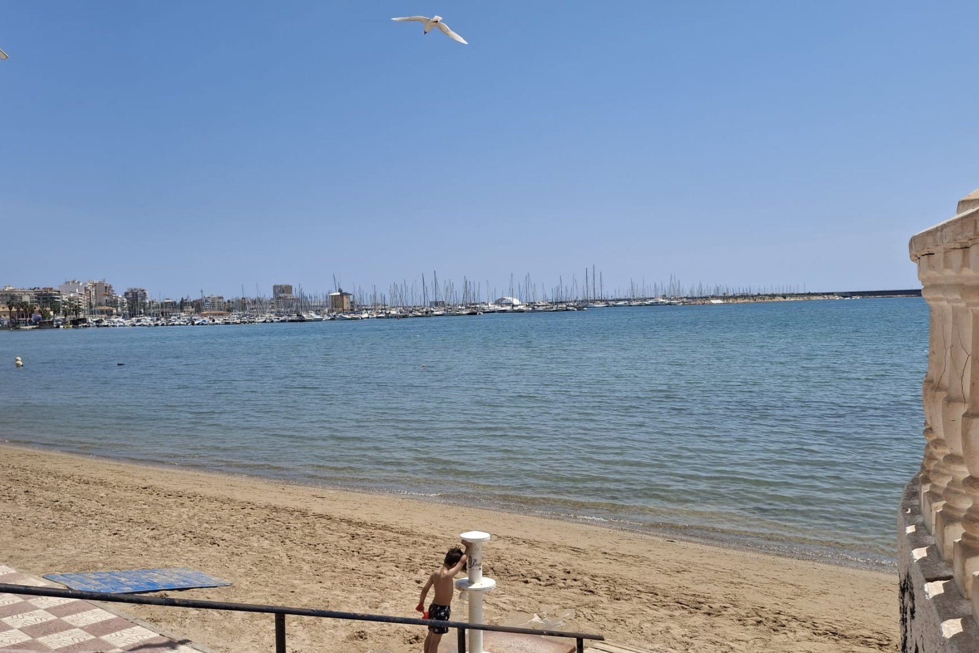 Reventa - Apartamento / Dúplex - Torrevieja - Playa Acequion