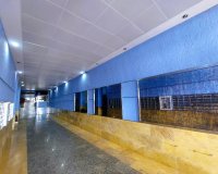 Reventa - Apartamento / Dúplex - Torrevieja - Playa de los Locos