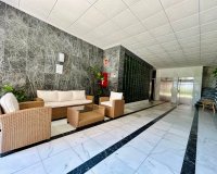 Reventa - Apartamento / Dúplex - Torrevieja - Playa de los Locos