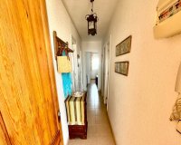 Reventa - Apartamento / Dúplex - Torrevieja - Playa de los Locos
