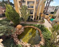 Reventa - Apartamento / Dúplex - Torrevieja - Playa de los Locos