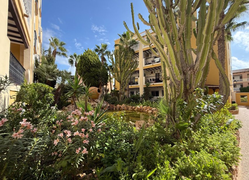 Reventa - Apartamento / Dúplex - Torrevieja - Playa de los Locos