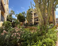 Reventa - Apartamento / Dúplex - Torrevieja - Playa de los Locos