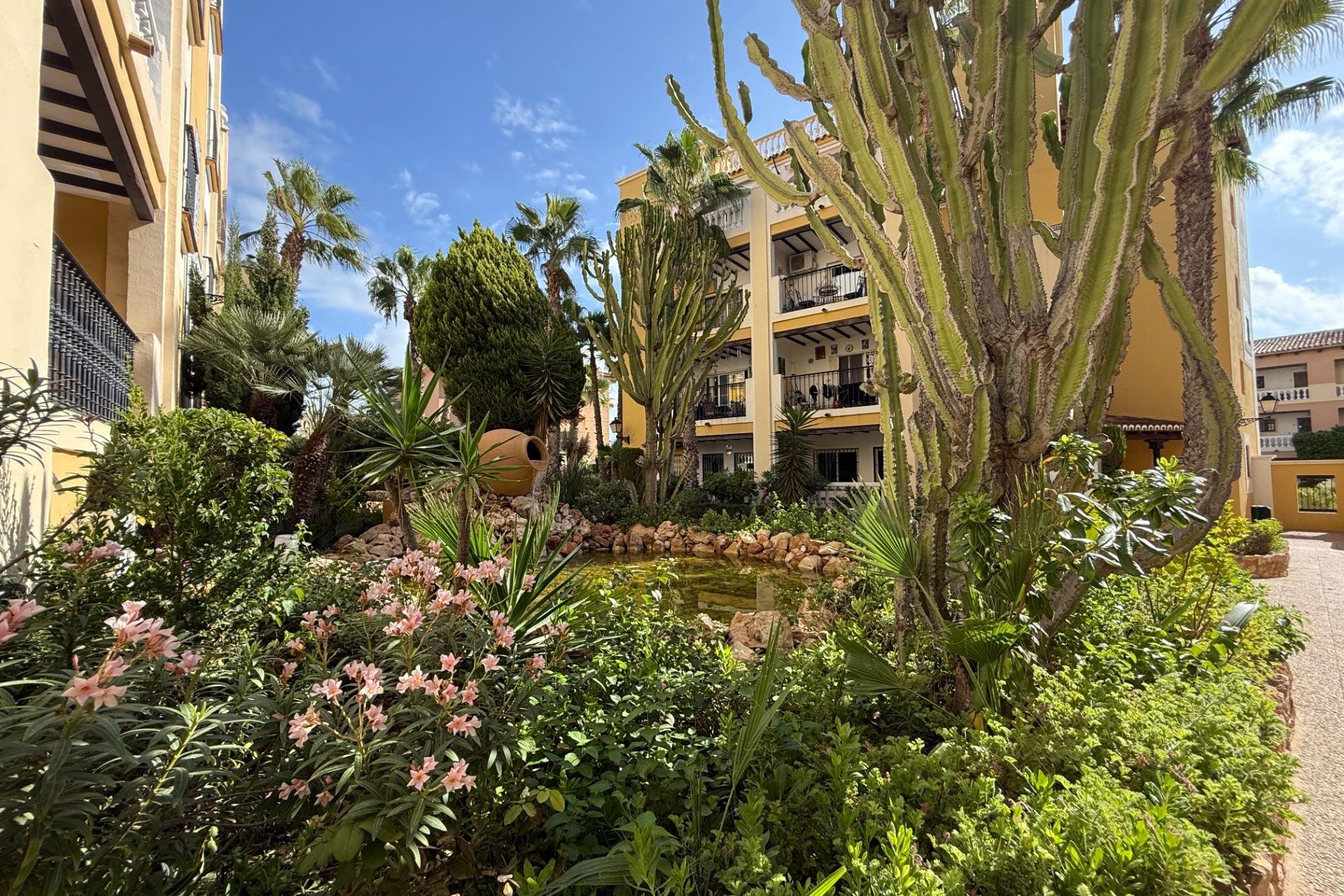 Reventa - Apartamento / Dúplex - Torrevieja - Playa de los Locos