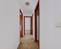 Reventa - Apartamento / Dúplex - Torrevieja - Playa del Acequión