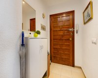 Reventa - Apartamento / Dúplex - Torrevieja - Playa del Acequión