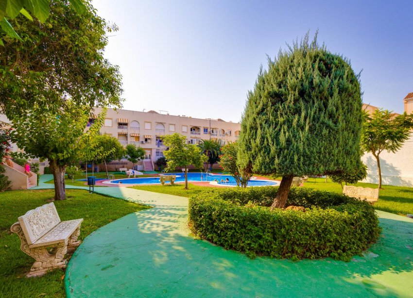 Reventa - Apartamento / Dúplex - Torrevieja - Playa del Acequión