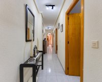 Reventa - Apartamento / Dúplex - Torrevieja - Playa del Cura