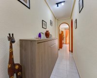 Reventa - Apartamento / Dúplex - Torrevieja - Playa del Cura