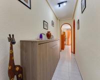 Reventa - Apartamento / Dúplex - Torrevieja - Playa del Cura