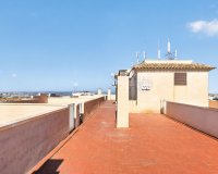Reventa - Apartamento / Dúplex - Torrevieja - Torreblanca