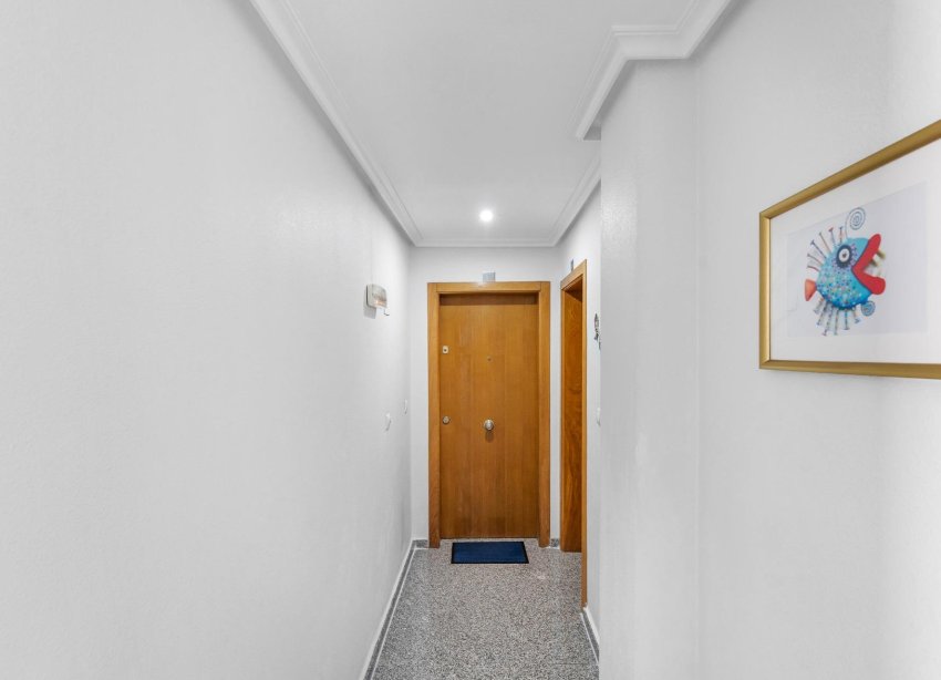 Reventa - Apartamento / Dúplex - Torrevieja