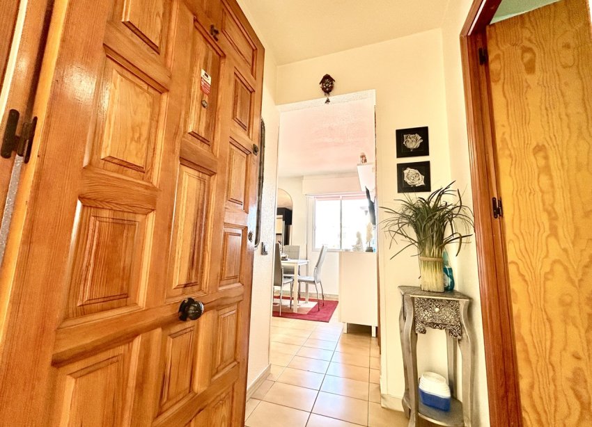 Reventa - Apartamento / Dúplex - Torrevieja