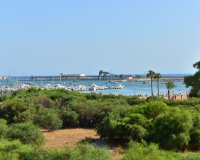 Reventa - Apartamento / Dúplex - Torrevieja