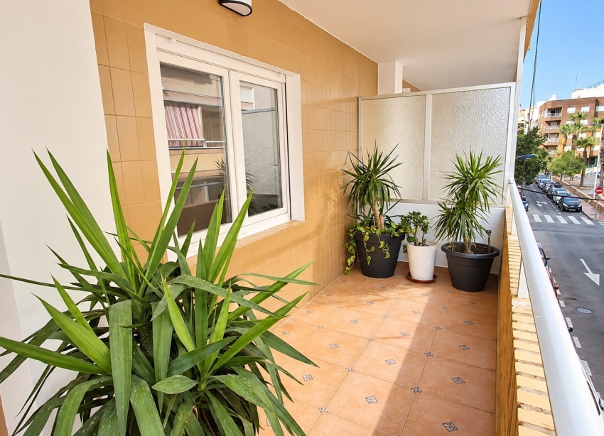Reventa - Apartamento / Dúplex - Torrevieja