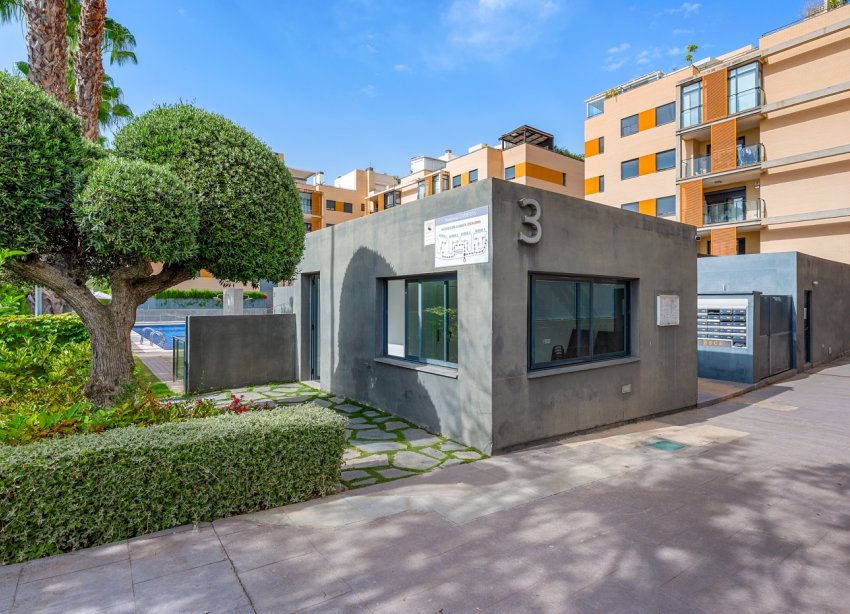 Reventa - Apartamento - El Campello - Muchavista