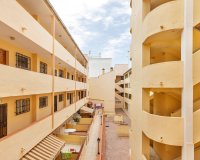 Reventa - Apartamento - Guardamar del Segura - Centro
