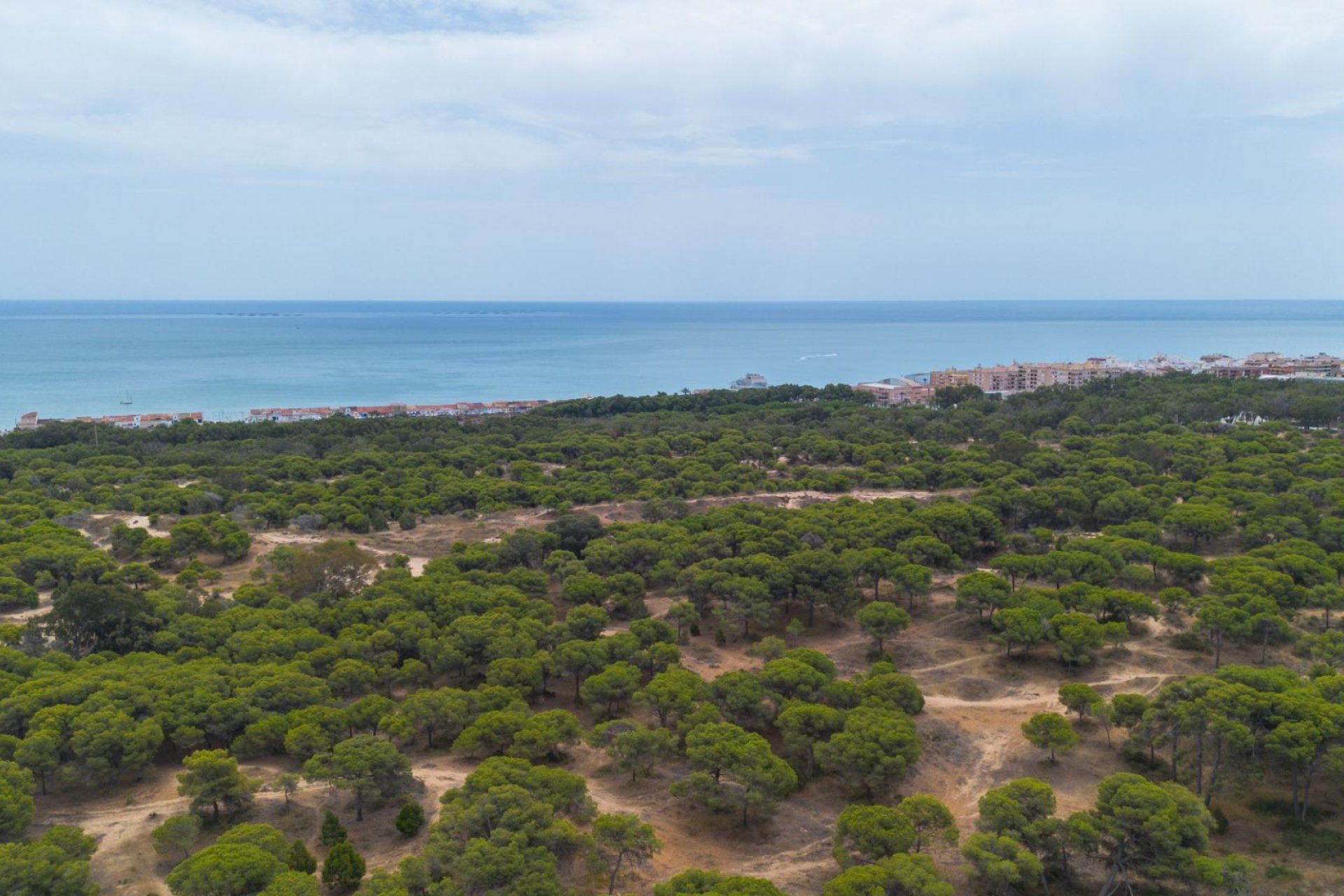 Reventa - Apartamento - Guardamar del Segura - Centro