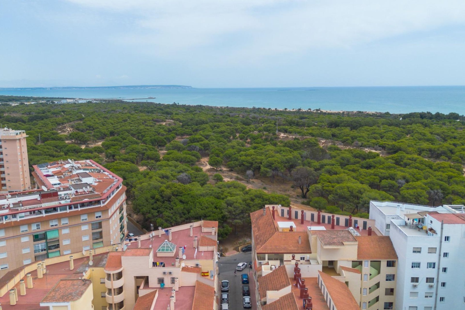 Reventa - Apartamento - Guardamar del Segura - Centro