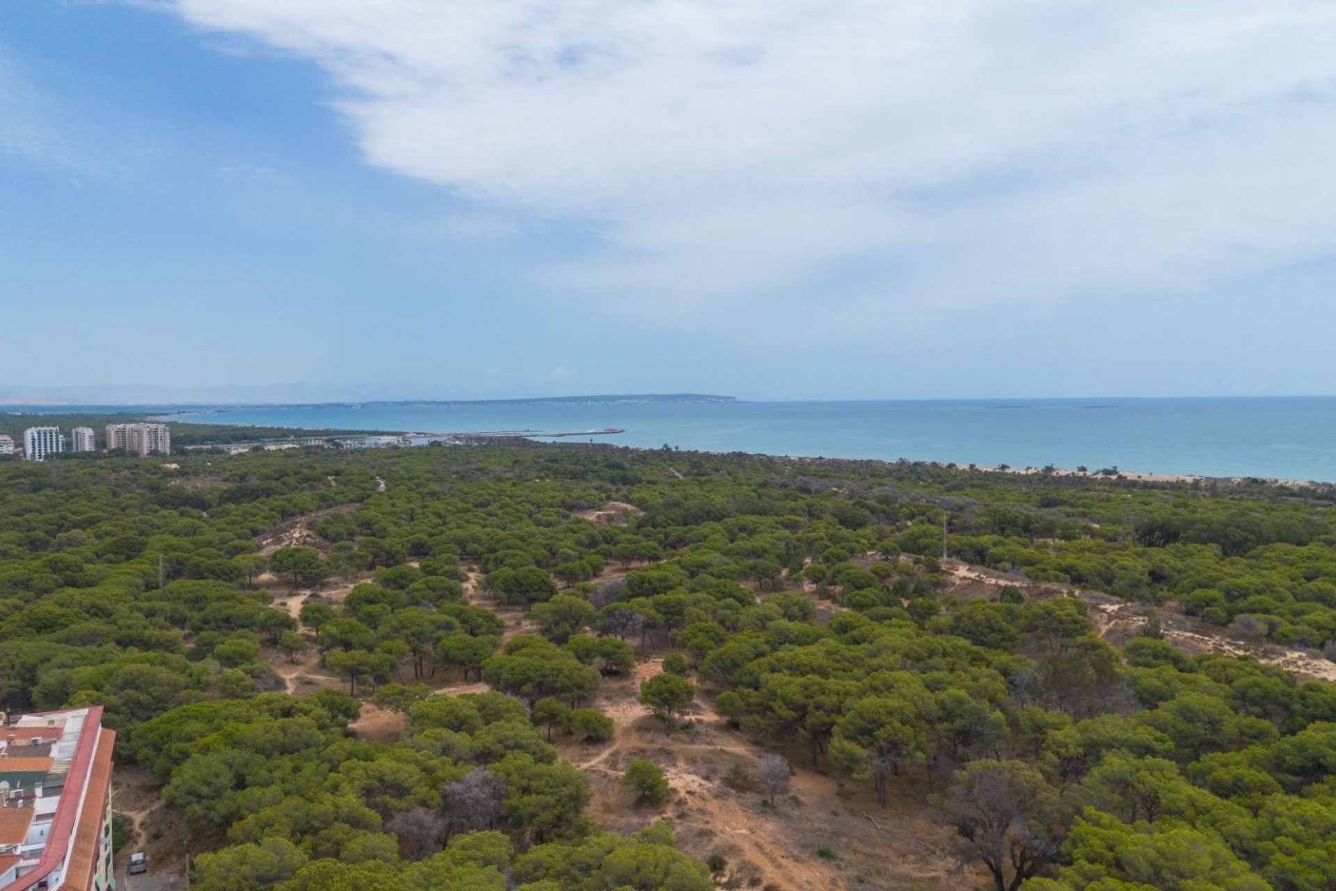Reventa - Apartamento - Guardamar del Segura - Centro