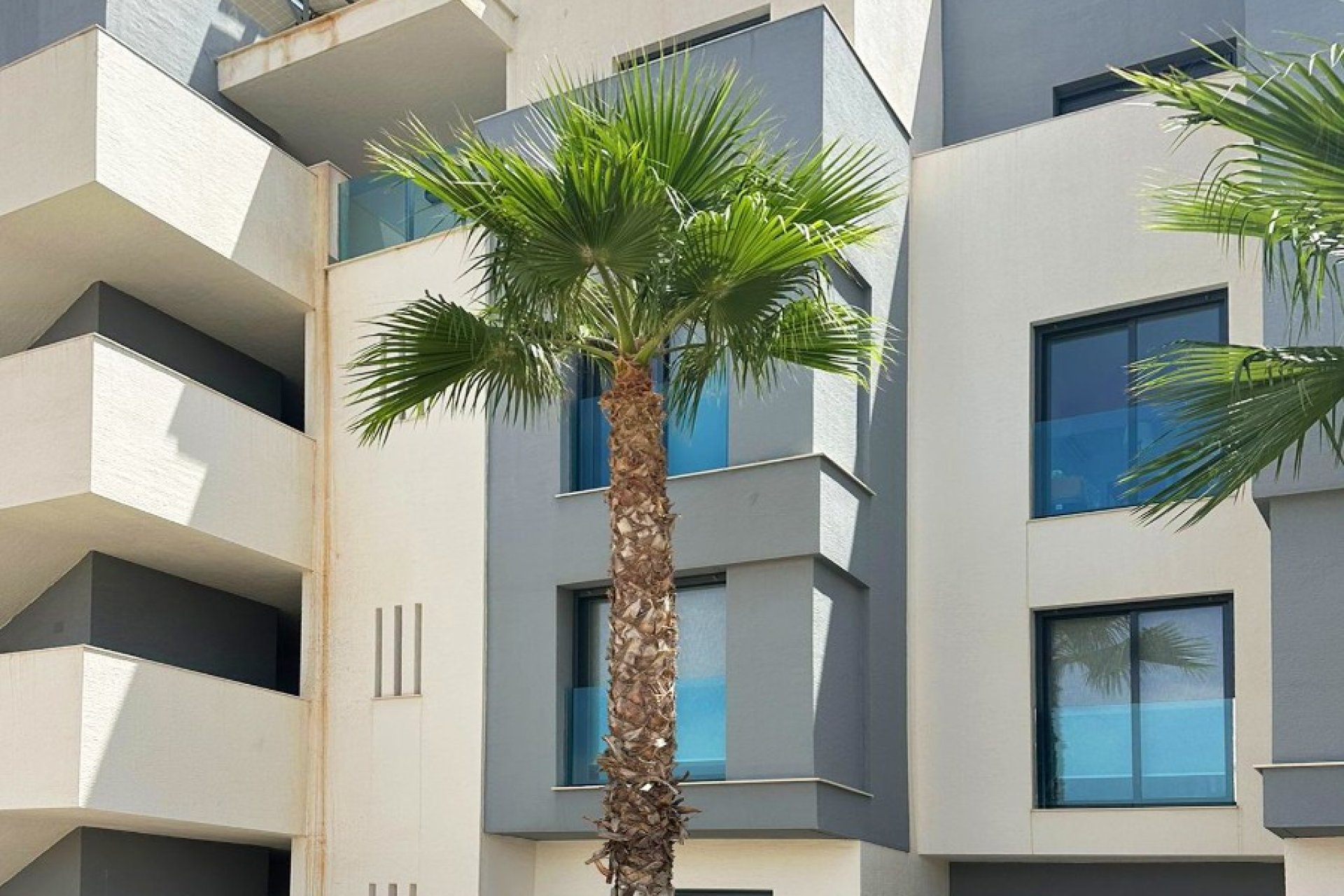 Reventa - Apartamento - Guardamar del Segura - El Raso