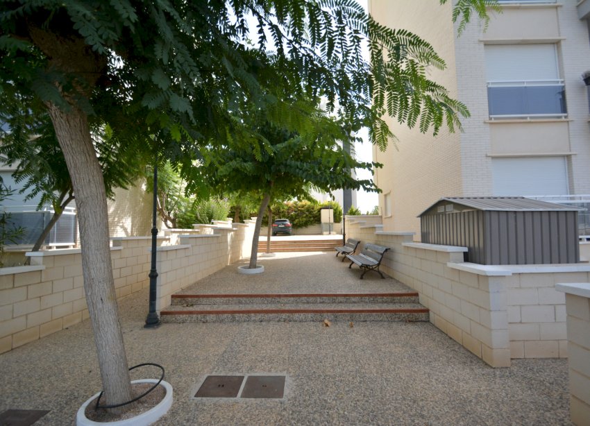 Reventa - Apartamento - Guardamar del Segura - SUP 7