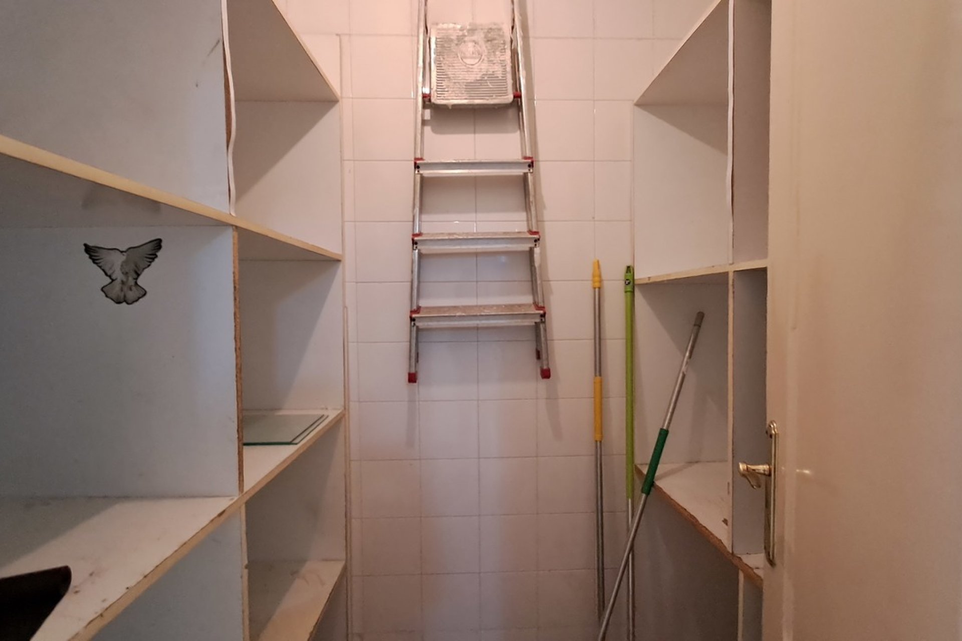Reventa - Apartamento - ﻿Torrevieja (Alicante) - Torrevieja