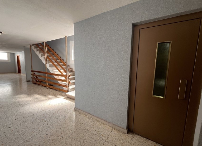 Reventa - Apartamento - ﻿Torrevieja (Alicante) - Torrevieja