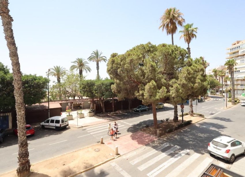 Reventa - Apartamento - ﻿Torrevieja (Alicante) - Torrevieja