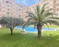 Reventa - Apartamento - ﻿Torrevieja (Alicante) - Torrevieja