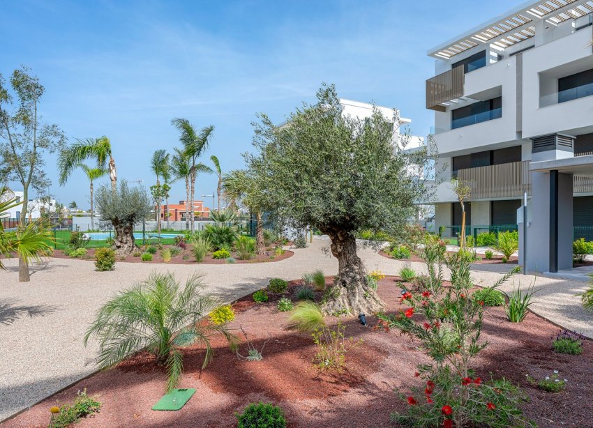 Reventa - Apartamento - Los Alcazares - Santa Rosalía