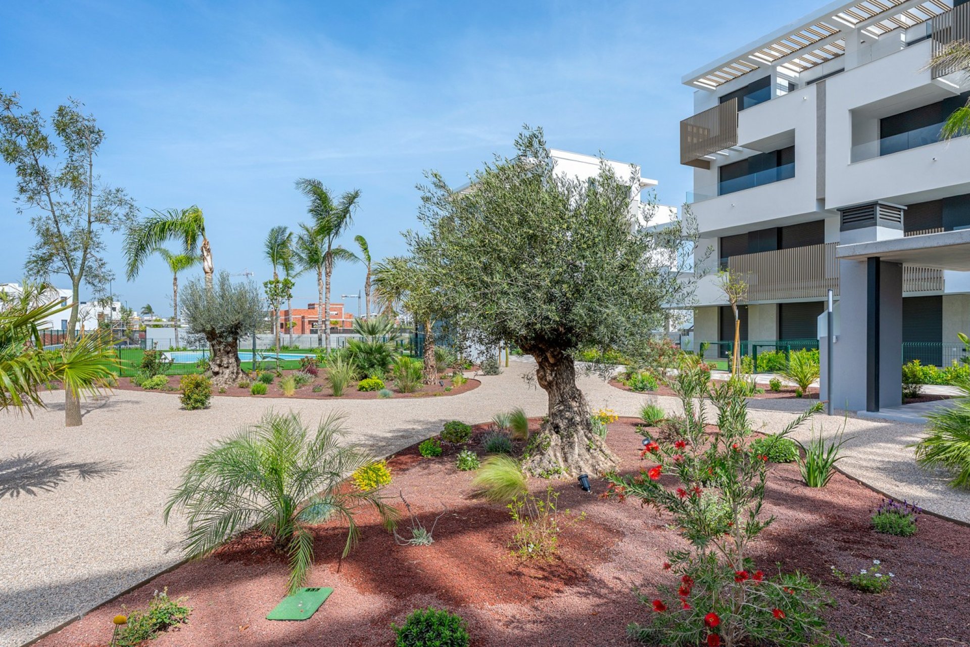 Reventa - Apartamento - Los Alcazares - Santa Rosalía