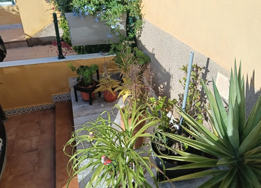 Reventa - Apartamento - Los Montesinos - La Herrada